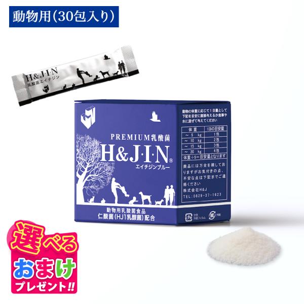 おまけ付き ペット ペット用 乳酸菌 エイチジンブルー 30包 Premium乳酸菌 H&amp;JIN 動...