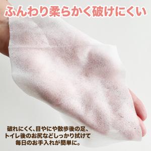 1個あたり 約96円 10%OFF クーポン ...の詳細画像2