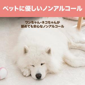 1個あたり 約96円 10%OFF クーポン ...の詳細画像3