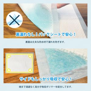 10%OFF クーポン ペットシーツ レギュラ...の詳細画像4