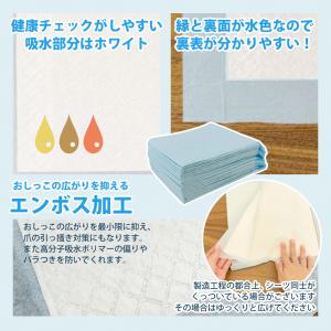 10%OFF クーポン ペットシーツ レギュラ...の詳細画像5