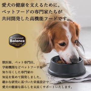 おまけ付き ペットライン プロフェッショナルバ...の詳細画像2