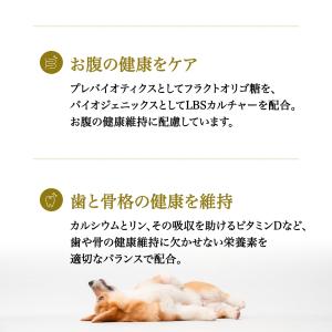 おまけ付き ペットライン プロフェッショナルバ...の詳細画像4