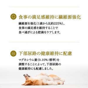 おまけ付き ペットライン プロフェッショナルバ...の詳細画像4