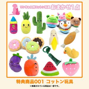 選べるおまけプレゼント【Bコース】【犬用】コー...の詳細画像3