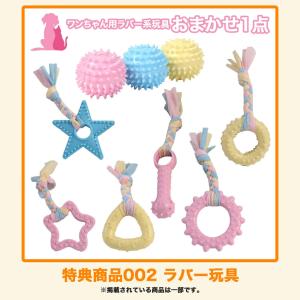 選べるおまけプレゼント【Bコース】【犬用】コー...の詳細画像4