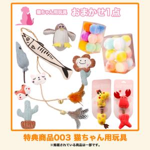 選べるおまけプレゼント【Eコース】【猫用】コー...の詳細画像3