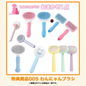 選べるおまけプレゼント【Eコース】【猫用】コー...の詳細画像5