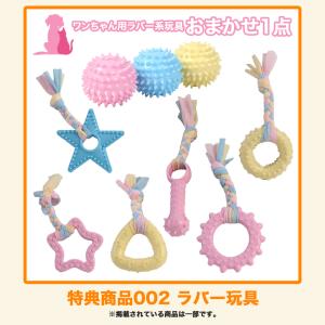 選べるおまけプレゼント【Eコース】【犬用】コー...の詳細画像4