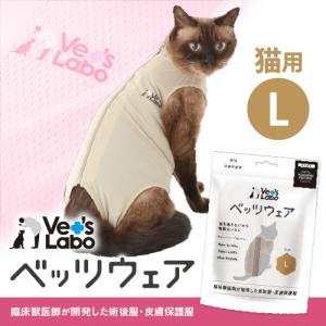 VetSolution 猫用 療法食 2kg 400g 胃腸サポート VetSolution 猫用 胃腸サポート 2kg Monge 療法食 消化器 疾患 Vet