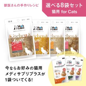 ねこり neco-ri ネコリ かつお味 100g(10g×10包) 1箱10包入りおやつ 猫