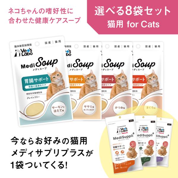 12/31までの期間限定 猫 ウェットフード 胃腸 腎臓 肝臓 食欲 水分補給  MediSoup ...