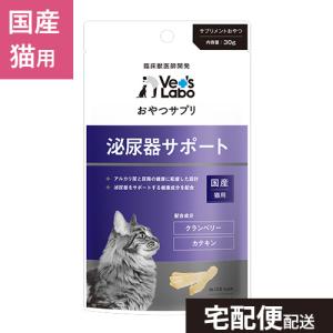Monge VetSolution 腎臓サポート 2kg　二袋 MONGE ベッツソリューション 猫用腎臓サポート 2kg 食事療法食