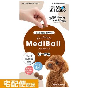 VetSolution 猫用 腎臓サポート 2kg Monge 療法食 腎臓病 疾患 Vet