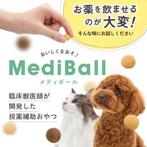メディボール 犬 薬 飲ませる おやつ 投薬補...の詳細画像1