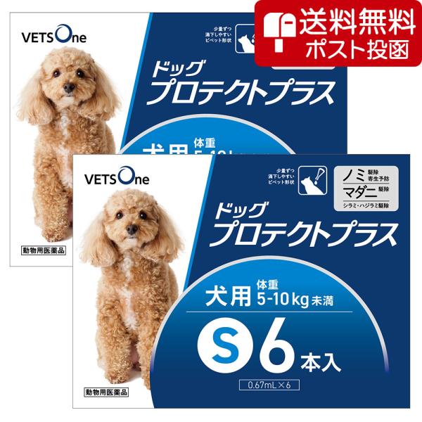 【ネコポス(同梱不可)】【2箱セット】ベッツワン ドッグプロテクトプラス 犬用 S 5kg〜10kg...