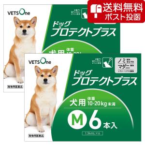 【ネコポス(同梱不可)】【2箱セット】ベッツワン...の商品画像