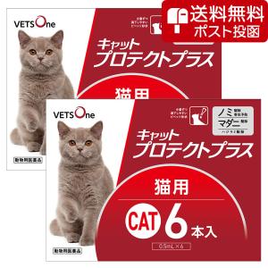 【ネコポス(同梱不可)】【2箱セット】ベッツワン キャットプロテクトプラス 猫用 6本 (動物用医薬品)