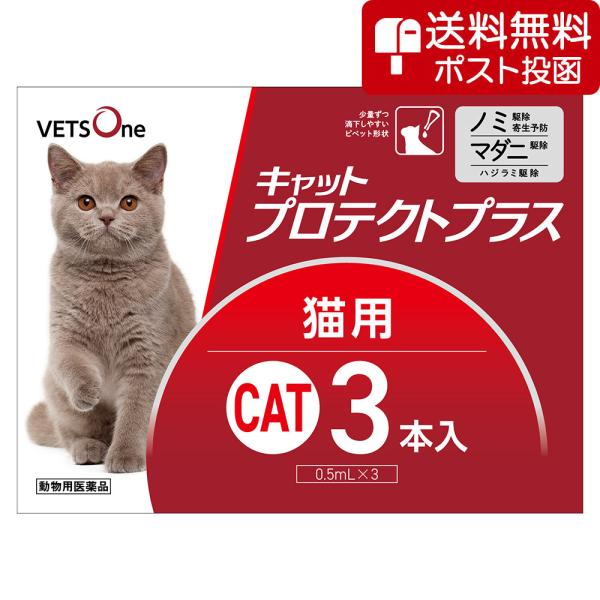 【ネコポス(同梱不可)】ベッツワン キャットプロテクトプラス 猫用 3本 (動物用医薬品)