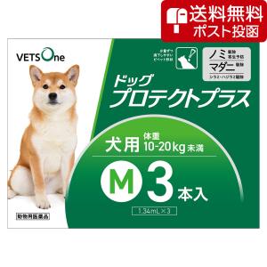 【ネコポス(同梱不可)】ベッツワン ドッグプロテクトプラス 犬用 M 10kg〜20kg未満 3本 (動物用医薬品)