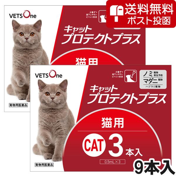 【ネコポス(同梱不可)】ベッツワン キャットプロテクトプラス 猫用 9本 (動物用医薬品)