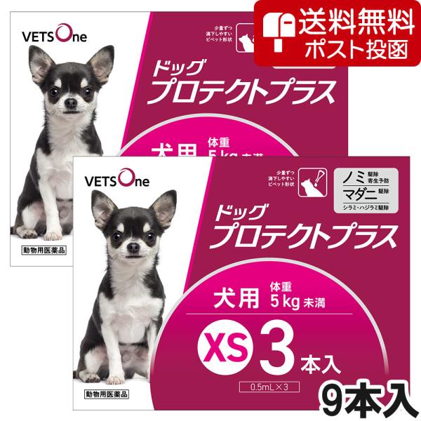 【ネコポス(同梱不可)】ベッツワン ドッグプロテクトプラス 犬用 XS 5kg未満 9本 (動物用医...