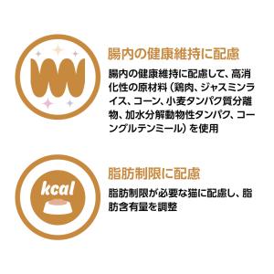 【ネコポス(同梱不可)】ベッツワンベテリナリー...の詳細画像2