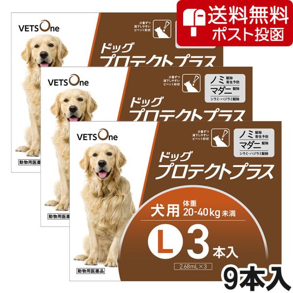 【ネコポス(同梱不可)】【3箱セット】ベッツワン ドッグプロテクトプラス 犬用 L 20kg〜40k...