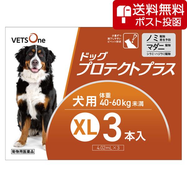 【ネコポス(同梱不可)】ベッツワン ドッグプロテクトプラス 犬用 XL 40kg〜60kg未満 3本...