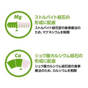 【2袋セット】ベッツワンベテリナリー 猫用 p...の詳細画像2