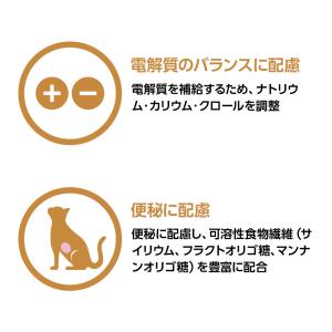【ネコポス(同梱不可)】ベッツワンベテリナリー...の詳細画像3