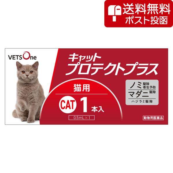 【ネコポス(同梱不可)】ベッツワン キャットプロテクトプラス 猫用 1本 (動物用医薬品)