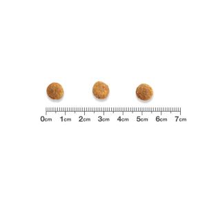 ベッツワンベテリナリー 猫用 pHケア チキン...の詳細画像1