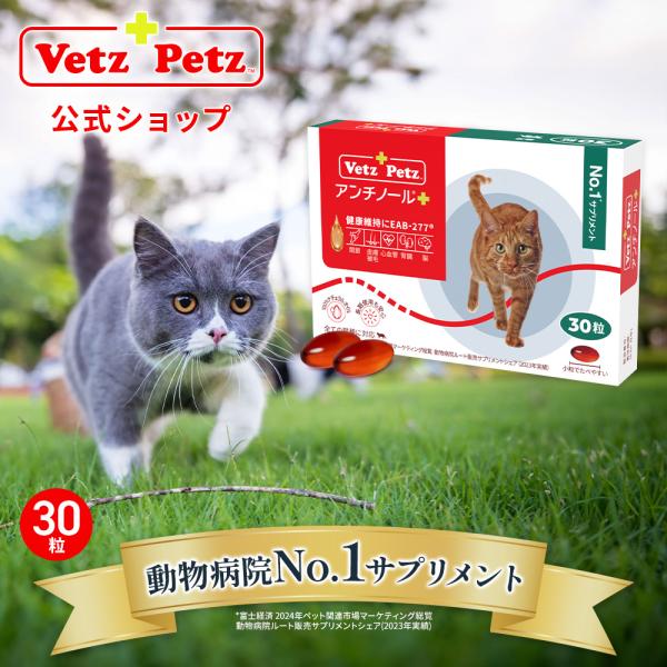 公式 アンチノール プラス 猫用 サプリメント 30粒 ベッツペッツ ペット サプリ 猫 サプリ 関...