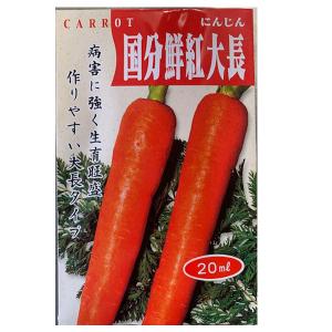 野菜の種/種子 国分鮮紅大長・ニンジン にんじん　人参　20ml（メール便発送）