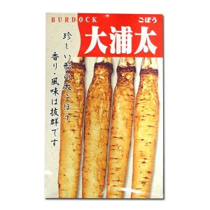 野菜の種/種子 大浦太・ごぼう 10ml (メー...の商品画像