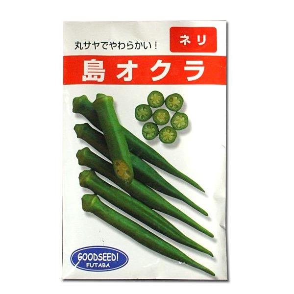 野菜の種/種子　島オクラ　20ml　（メール便発送）