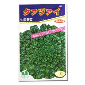 野菜の種/種子 タァツァイ・中国野菜 7.5ml（メール便発送）サカタのタネ 種苗｜vg-harada