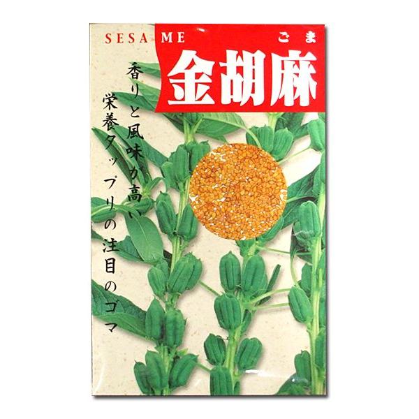 野菜の種/種子　金胡麻・ごま　20ml　（メール便発送）