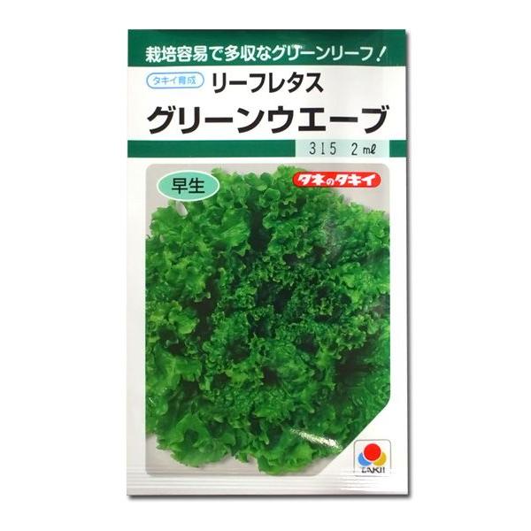 野菜の種/種子 グリーンウエーブ・グリーンウェーブ リーフレタス 1.8ml（メール便発送）タキイ種...