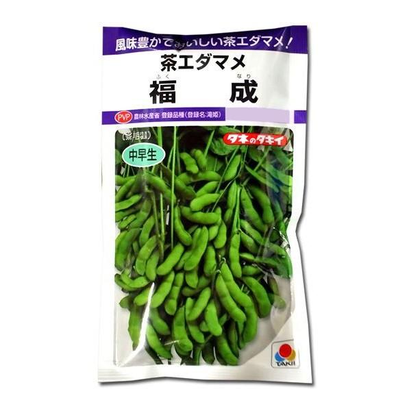 野菜の種/種子 福成・茶えだまめ 80ml（メール便発送）タキイ種苗 【３月中旬頃より順次発送】
