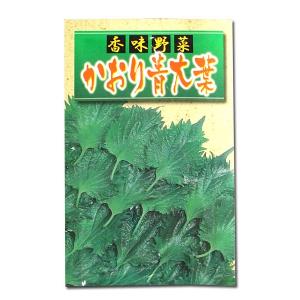 インカ、6キロ、種芋 ジャガイモ　春植え　家庭菜園などに 令和8年入荷予定なし】野菜・種/苗［春植えジャガイモ種芋］インカの