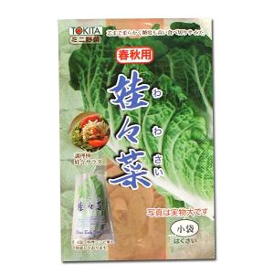 大人気！】野菜・種/種子 おおまさりネオ 落花生・生もの種 1dl(約35粒
