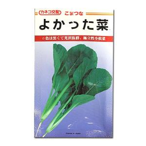 野菜の種/種子 よかった菜・コマツナ 20ml ...の商品画像