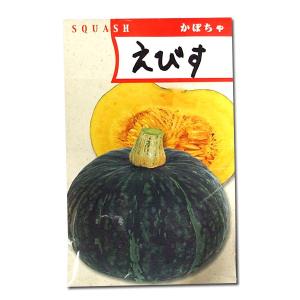 えびす 500粒 カボチャ種子 【南瓜の種】【タキイのタネ】【野菜の種
