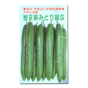 野菜の種/種子　旭交新みどり胡瓜・キュウリ　2.5ml　（メール便発送）｜vg-harada