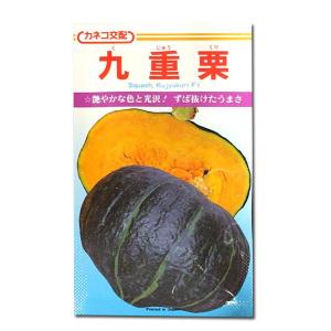 野菜の種/種子 ゴールドラッシュ・とうもろこし 2000粒 (大袋)サカタの