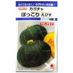 野菜の種/種子 ほっこりえびす・カボチャ かぼちゃ 南瓜
