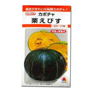 野菜の種/種子 栗えびす・かぼちゃ カボチャ 南瓜 13粒（）タキイ種苗