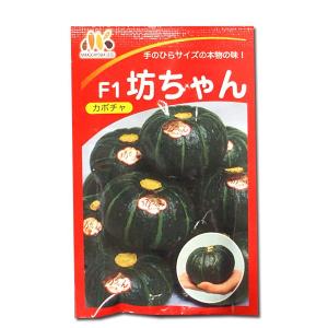 大特価！】野菜の種/種子 おおもの83・とうもろこし・スイートコーン
